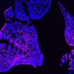 288749f3-7e0f-4527-8ad4-8110aee42d02