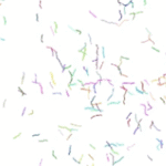 5db980c1-25ca-4a84-ba6d-b6960fe18283