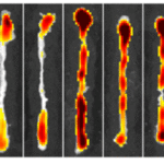 e078de21-051a-43ca-9535-3a2610929961
