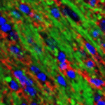 e1260293-ae2b-49e2-87de-49b284bbb1a9